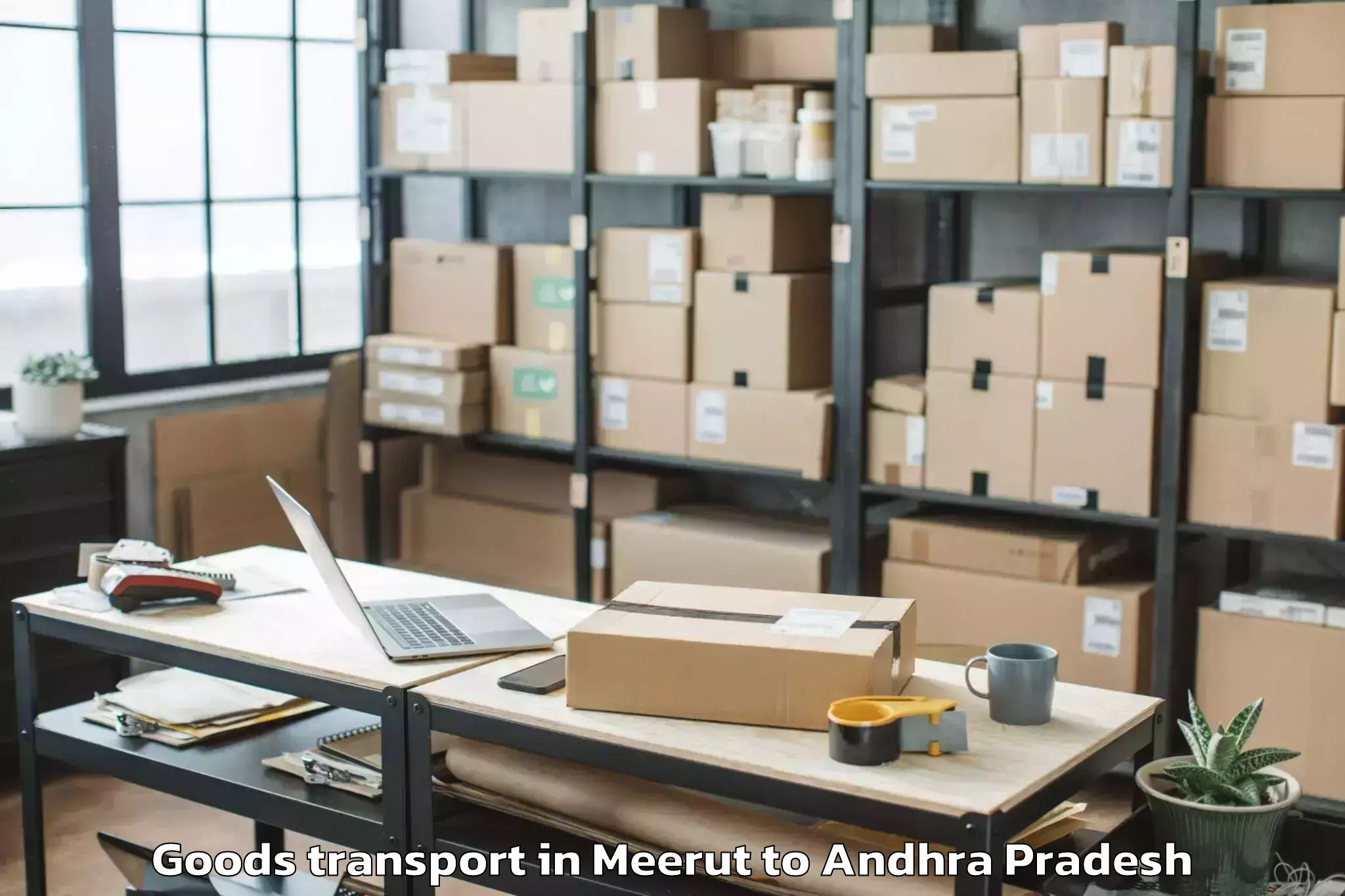 Top Meerut to Peddapuram Goods Transport Available